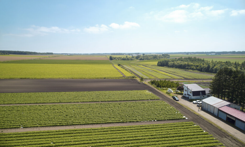 topabout 坂本農場